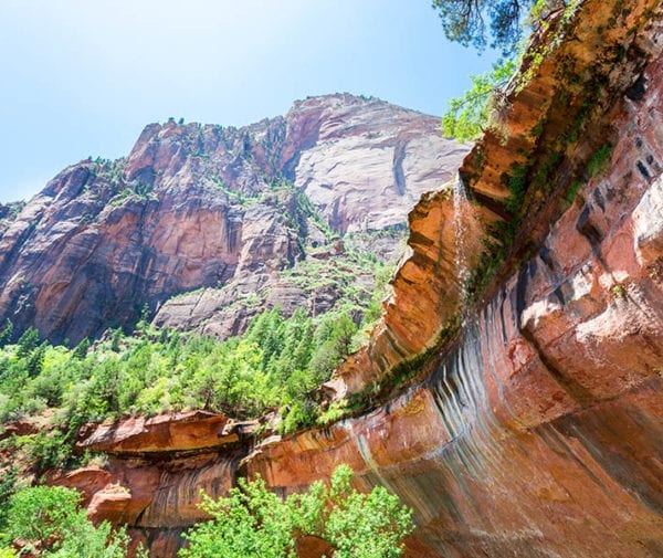 Customized and Private Zion National Park Sample Tours | Epic One ...